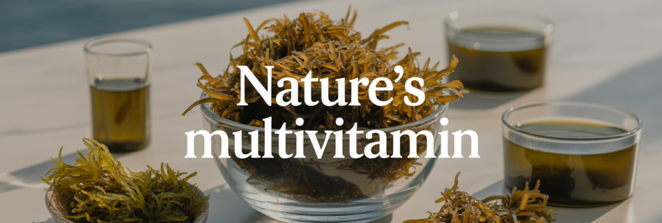 Sea Moss: Nature’s Multivitamin